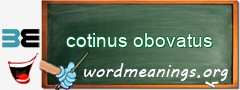 WordMeaning blackboard for cotinus obovatus